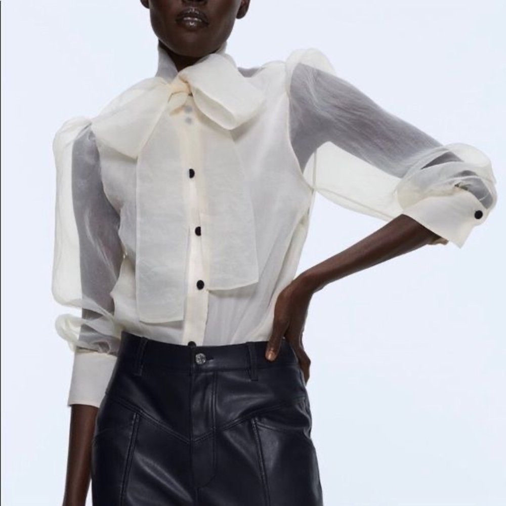GORGEOUS chiffon Zara button down